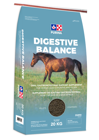 Horse feed delivery near me sales